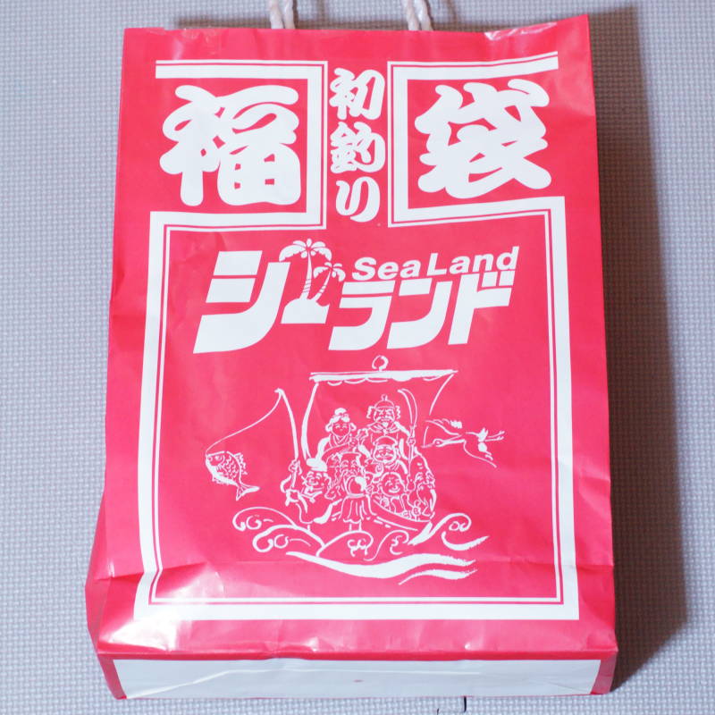 今年はこれも買いました！シーランドの福袋 2023　エギ30本セット